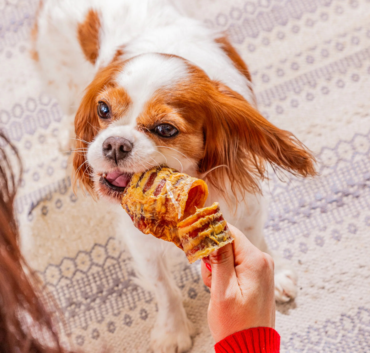 Nutriment Trachea "Gullet" - Cut 500g