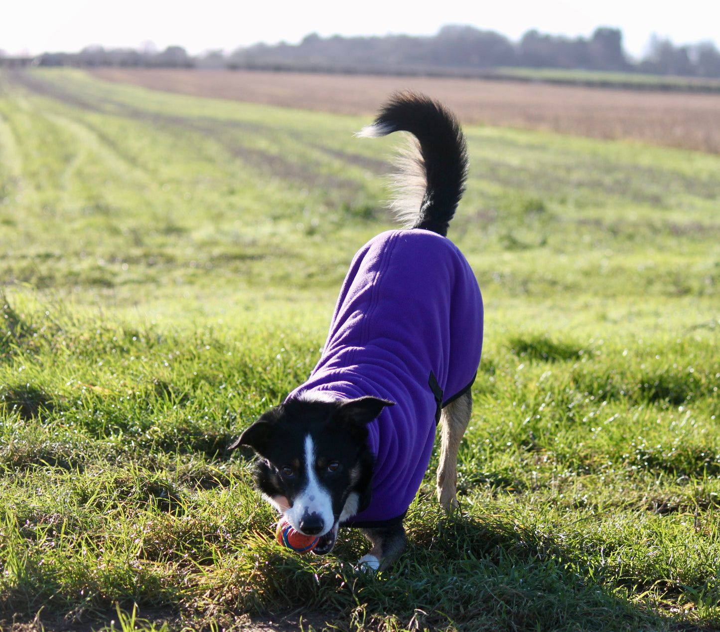The FenForest Fleece