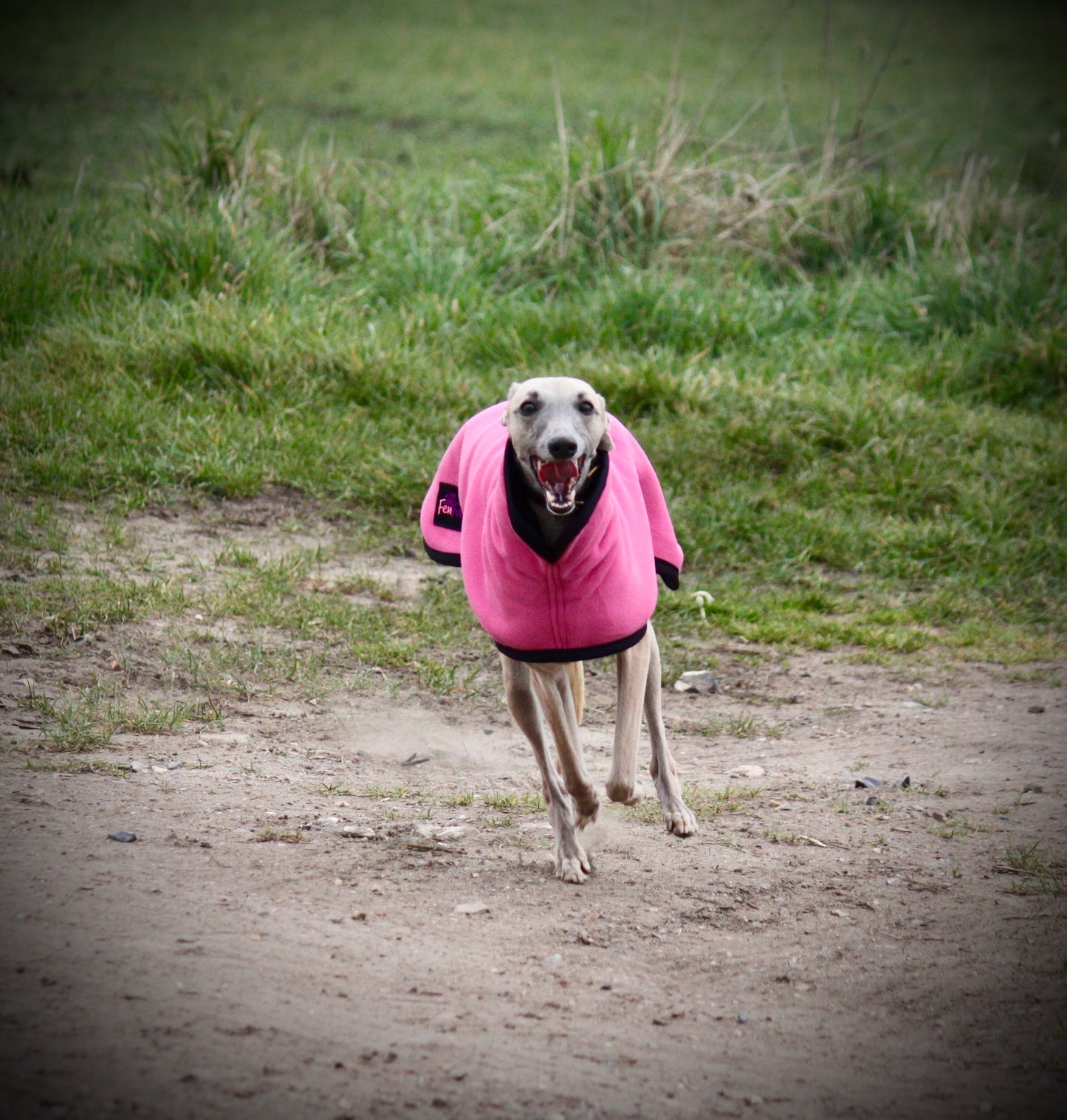 The FenForest Fleece
