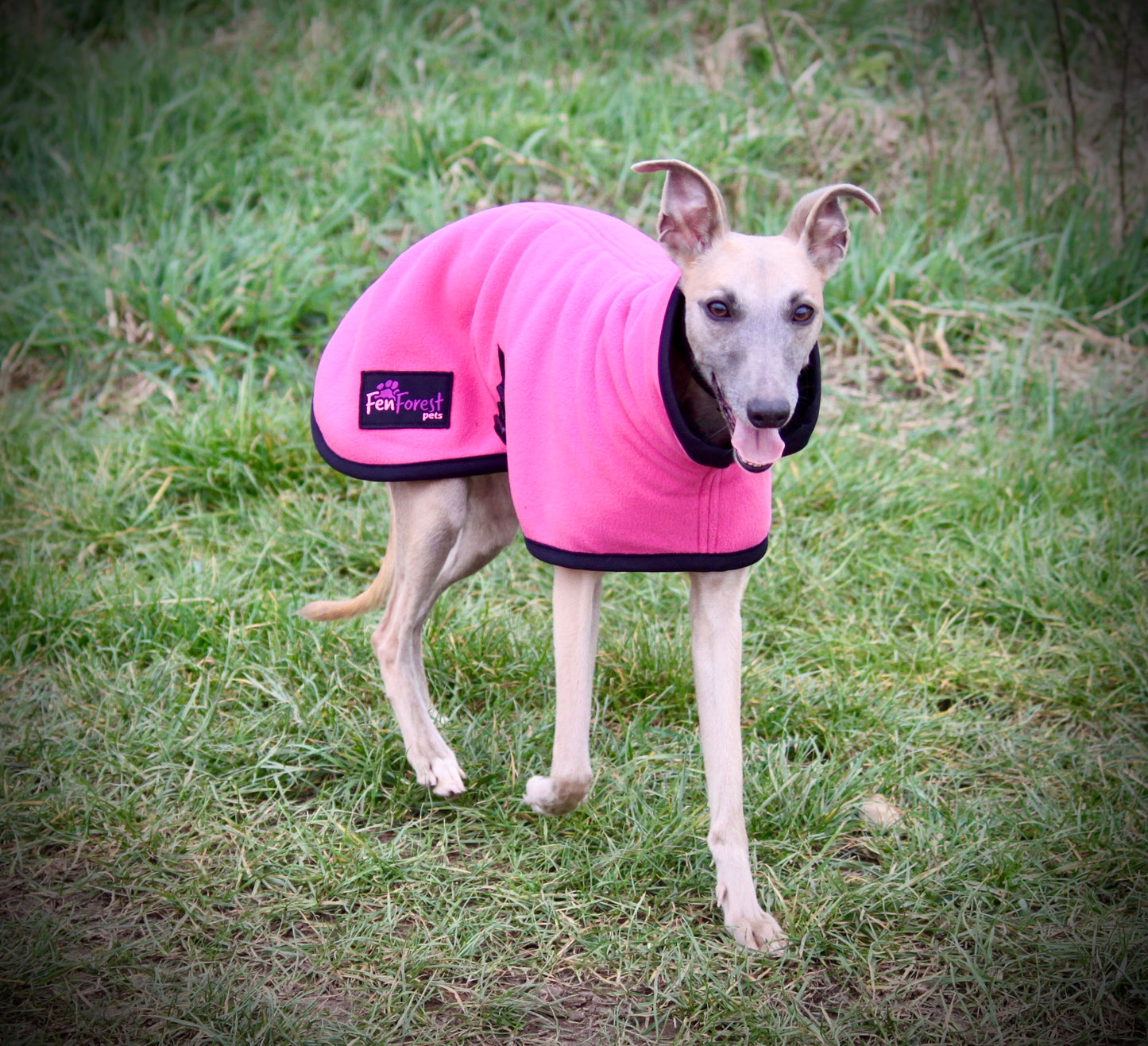 The FenForest Fleece