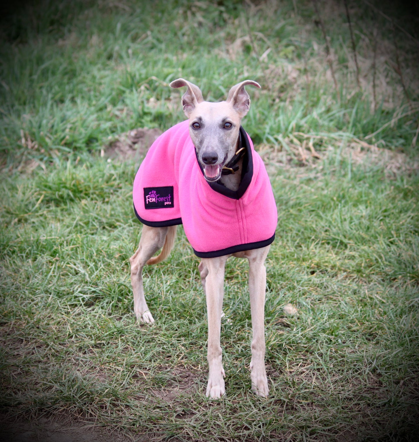 The FenForest Fleece