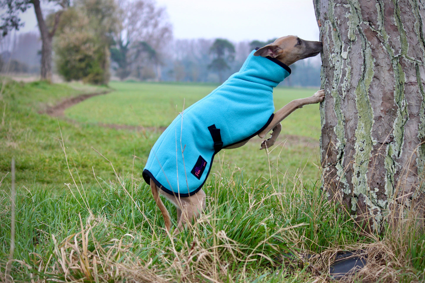 The FenForest Fleece