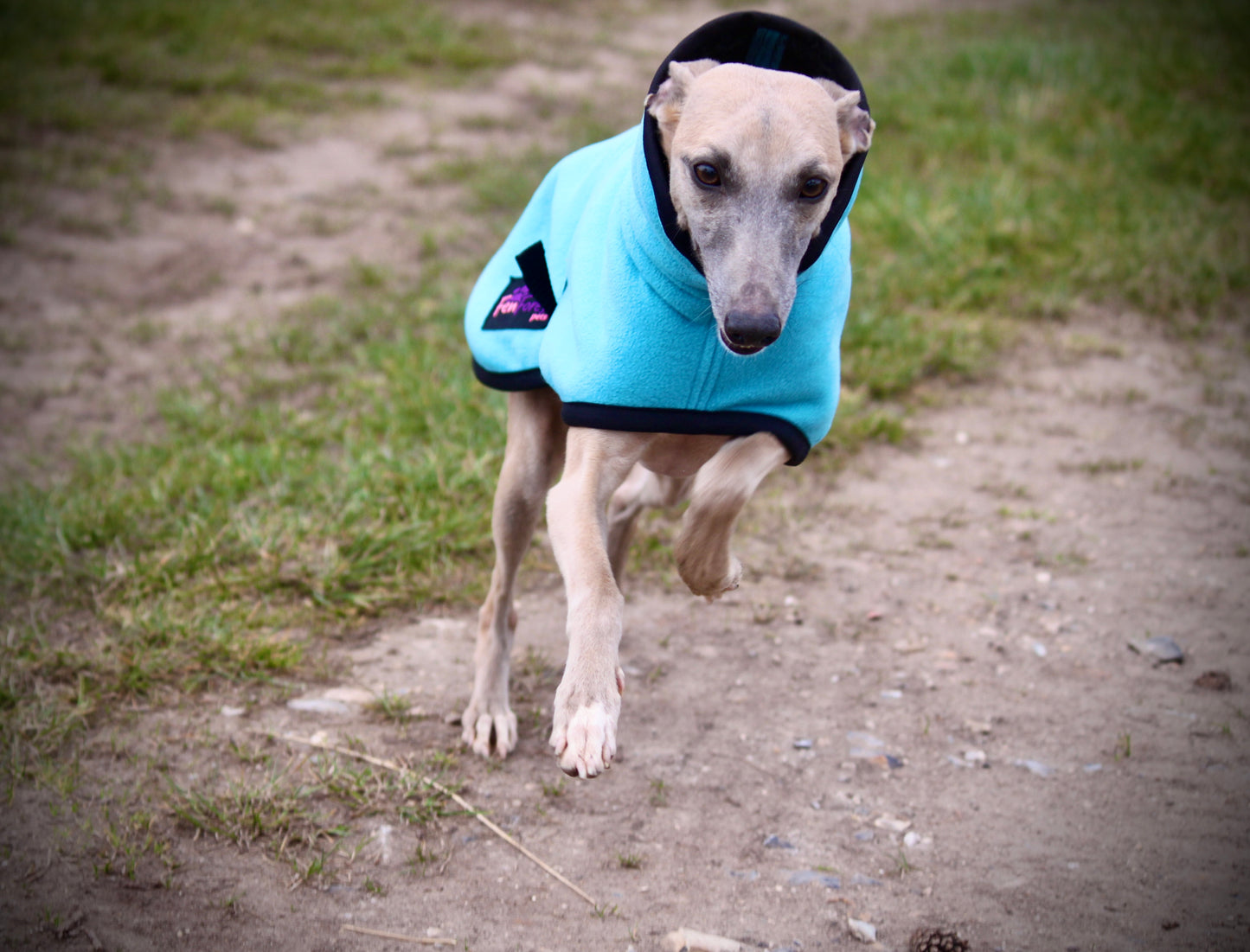 The FenForest Fleece