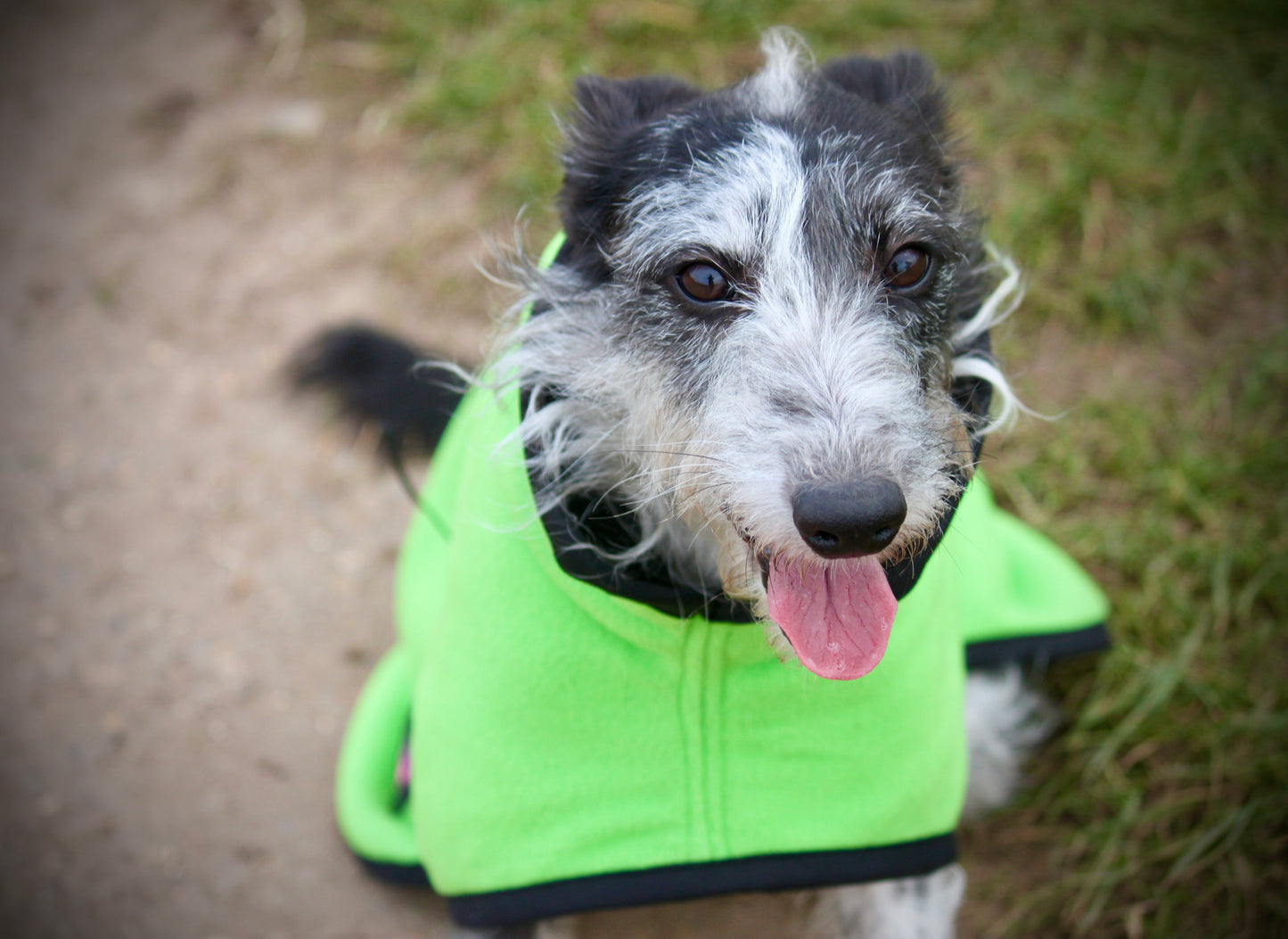 The FenForest Fleece