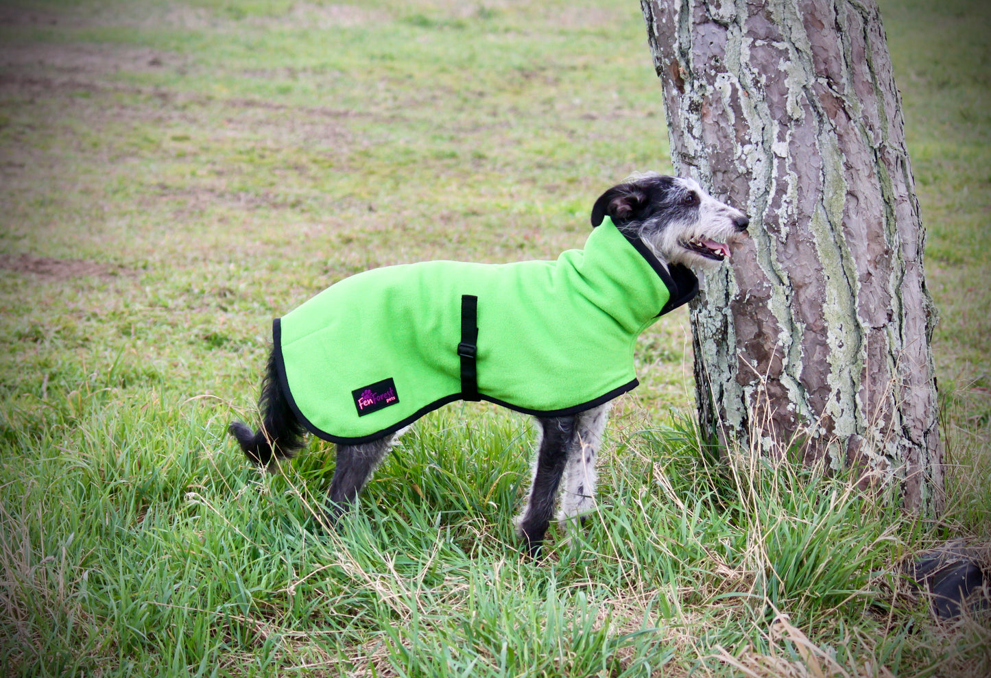 The FenForest Fleece