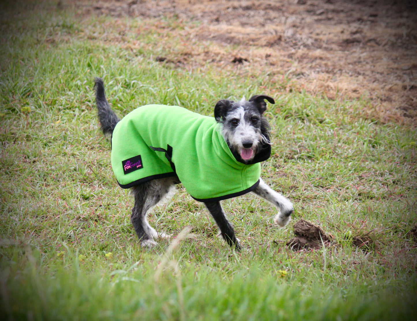 The FenForest Fleece