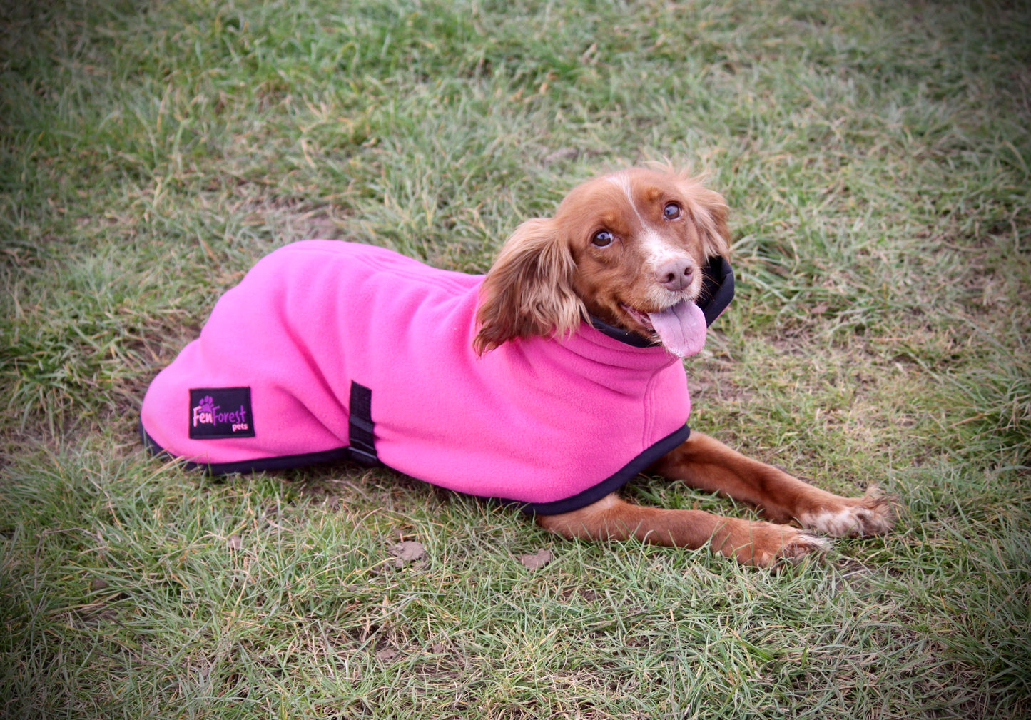 The FenForest Fleece