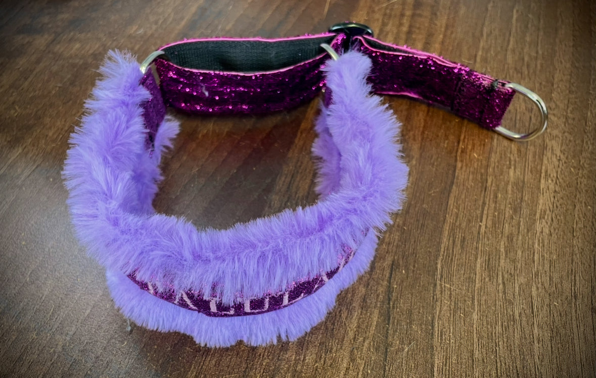 Custom Collar & Lead Set