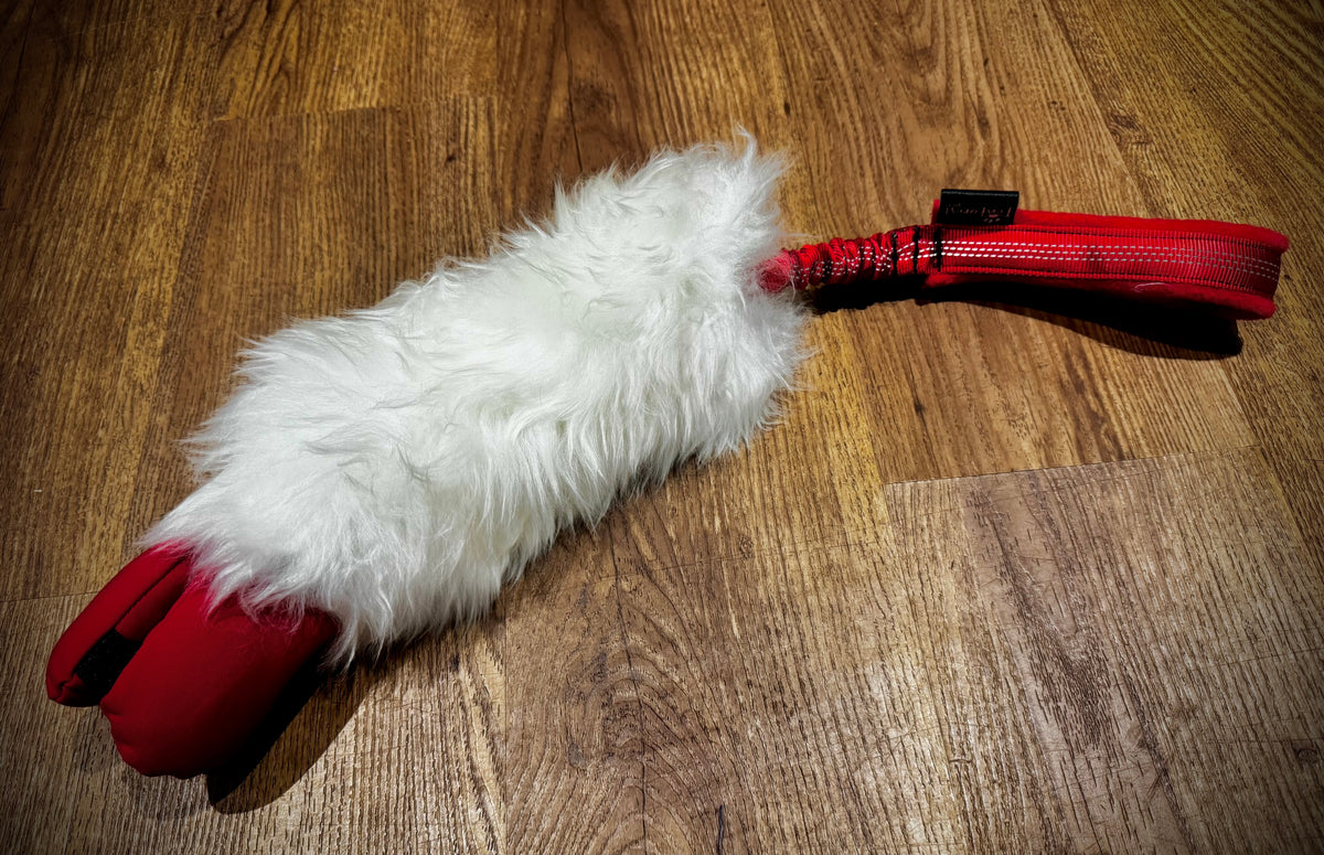 Sheepskin & Foodi medium bungee