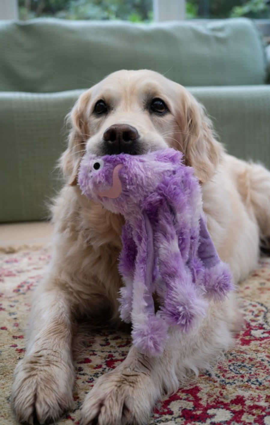 ORLA OCTOPUS PLUSH DOG TOY SMALL