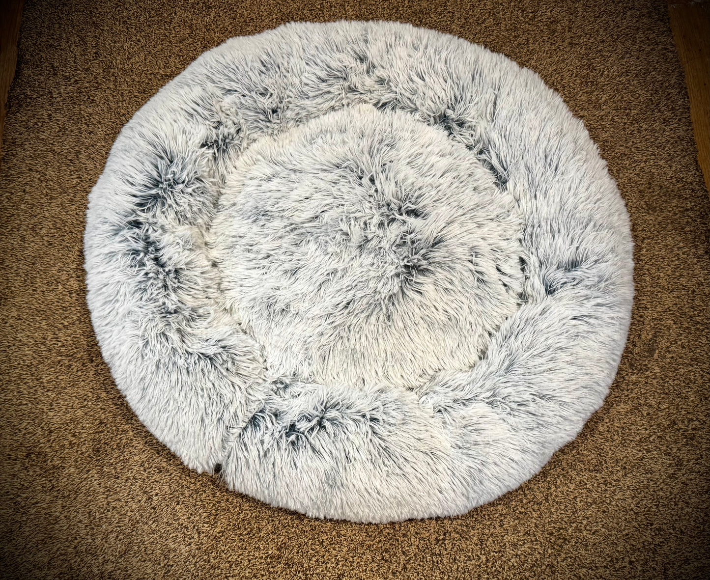 Doggy Doughnut Bed