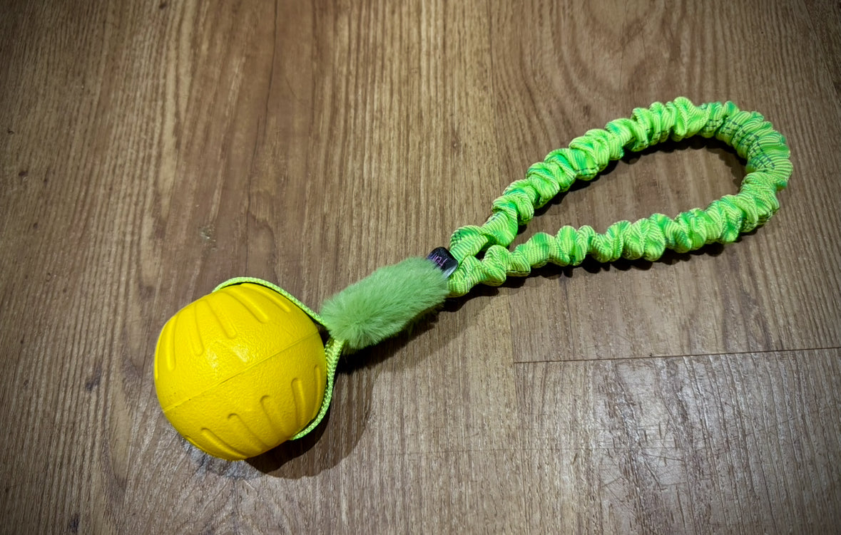 Eva Ball loop bungee