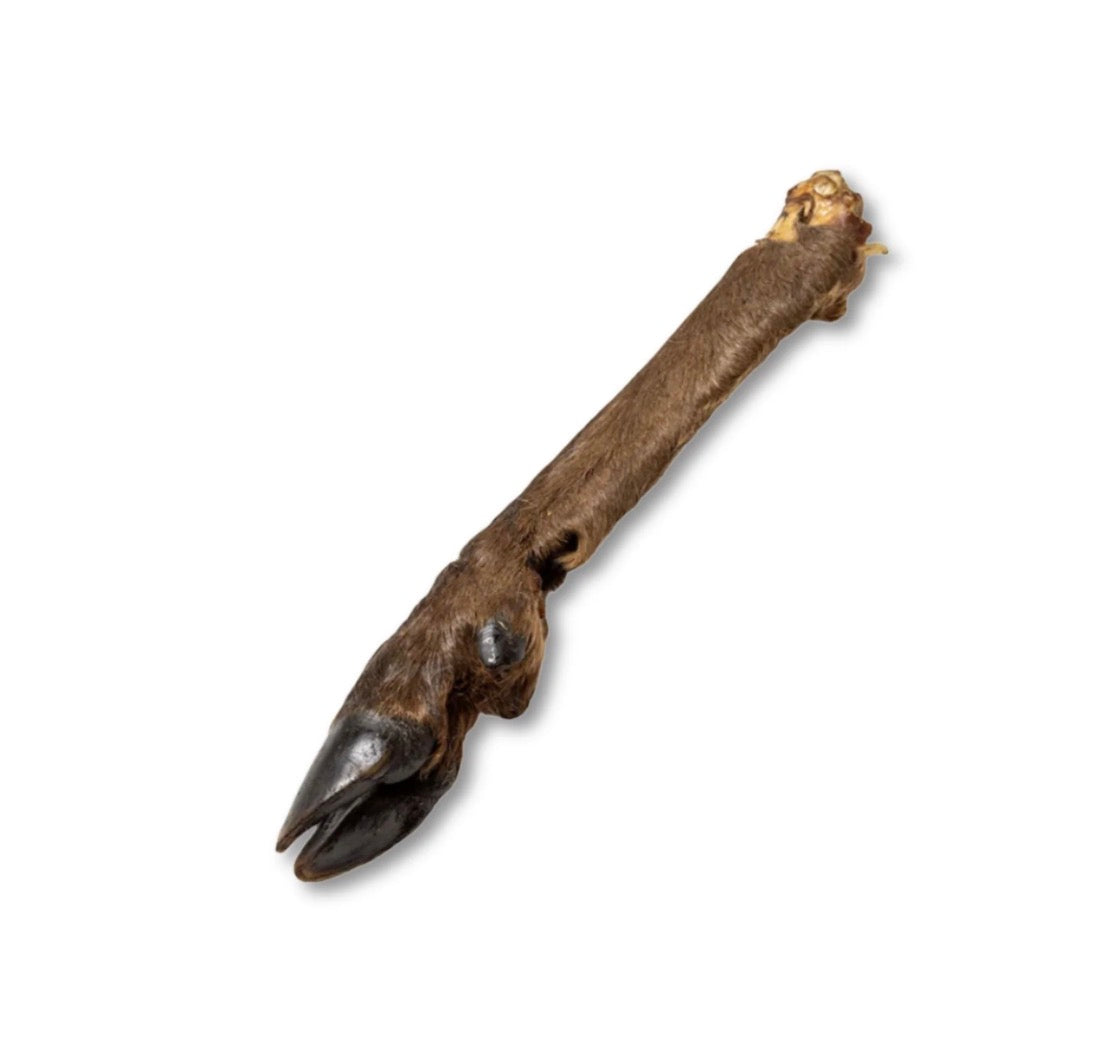 Nutriment Large Hairy Venison (Deer) Legs