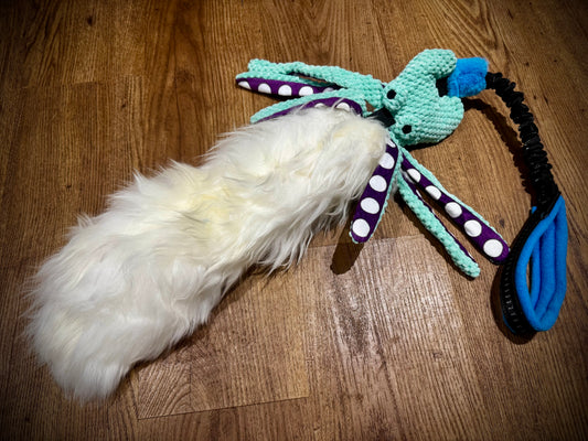 Octo-Baa