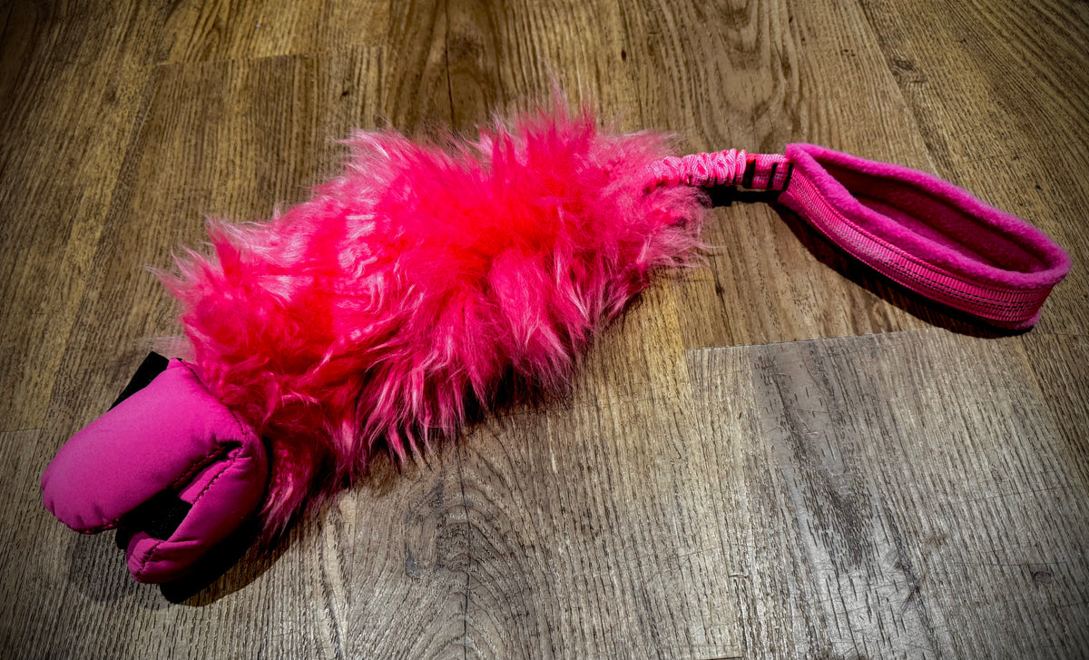 Sheepskin & Foodi medium bungee