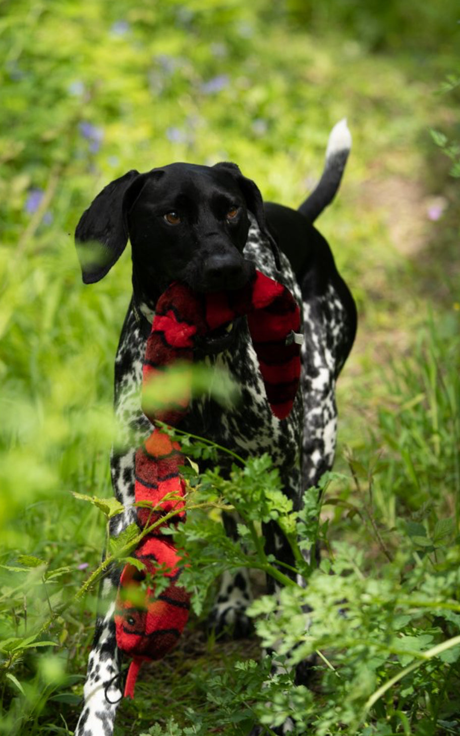 PLUSH SNAKE DOG TOY 70cm