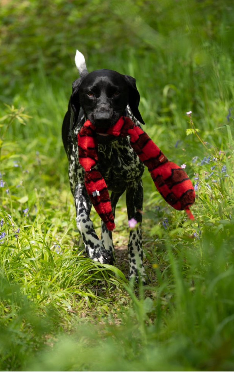 PLUSH SNAKE DOG TOY 70cm
