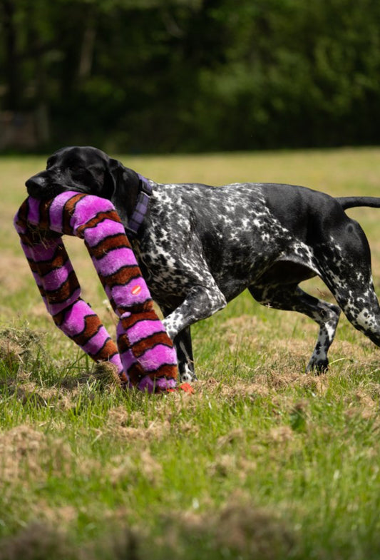 PLUSH SNAKE DOG TOY 115CM