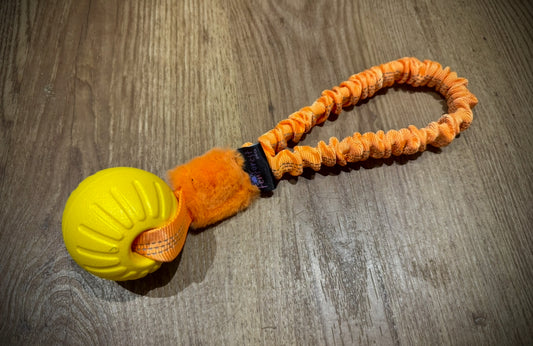 Eva Ball loop bungee