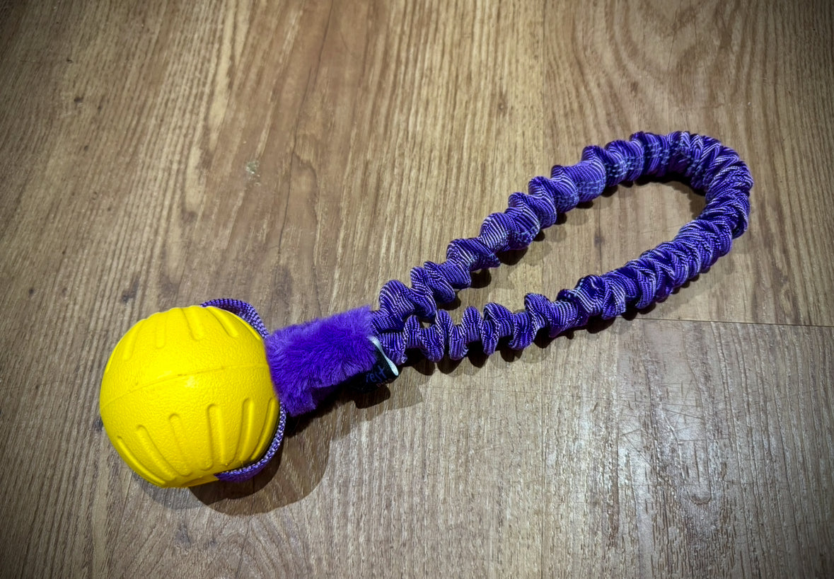 Eva Ball loop bungee