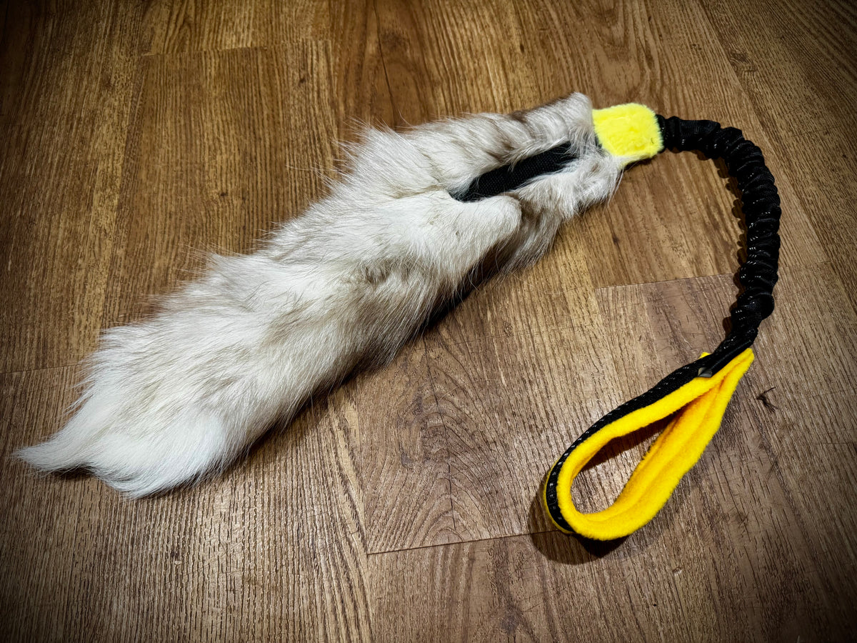 Coyote/Fox Tail Bungee