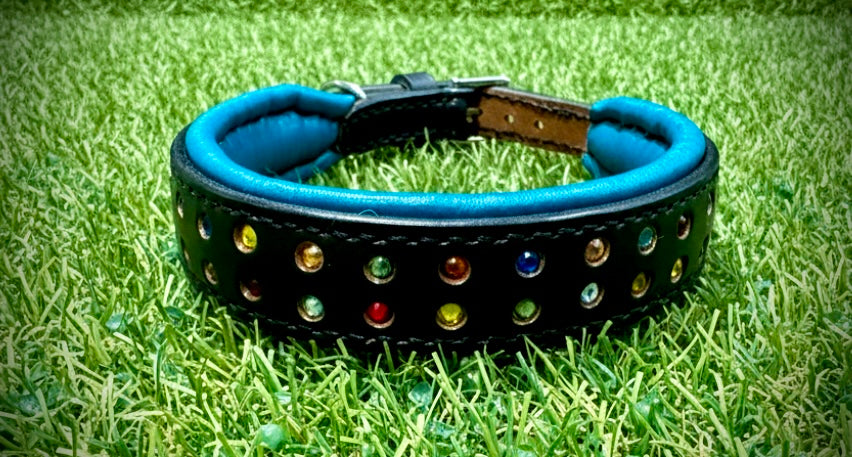 Rainbow Bling 13.6-16” neck