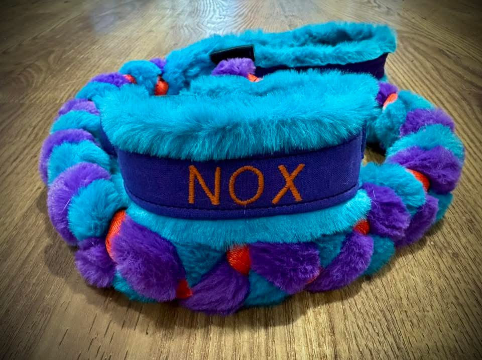 Custom Collar & Lead Set