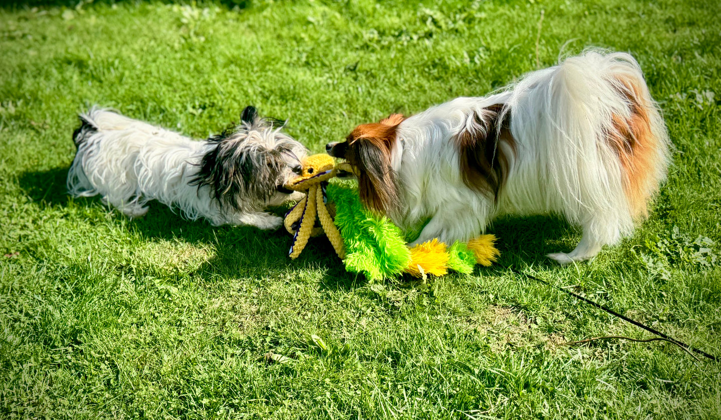 Octo-Flirt Pole: The Complete Set