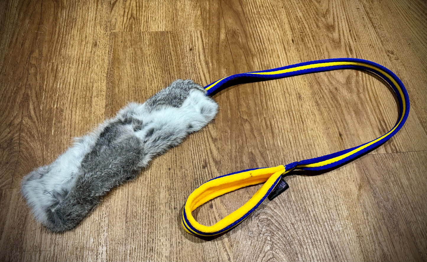 Rabbit Airweb chaser