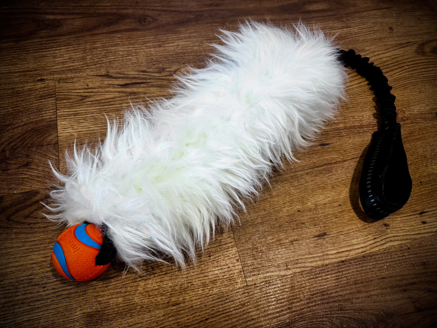 Mega Baa Hol-ee roller/ Chuck it!
