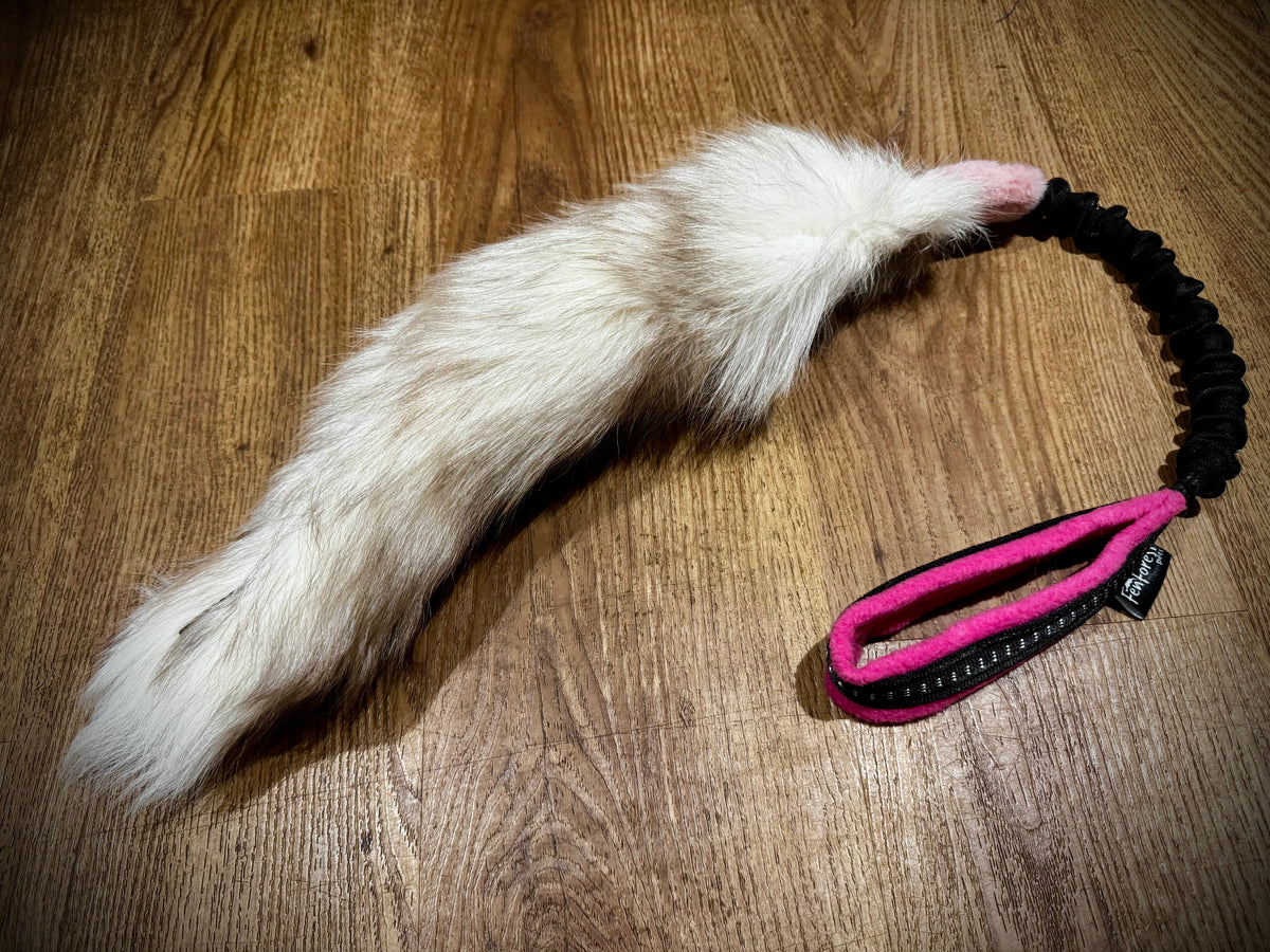 Coyote/Fox Tail Bungee
