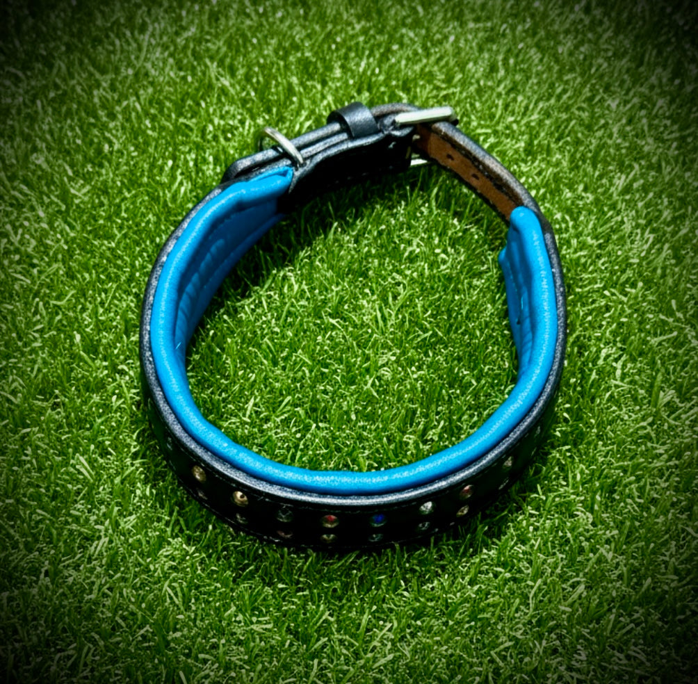 Rainbow Bling 13.6-16” neck