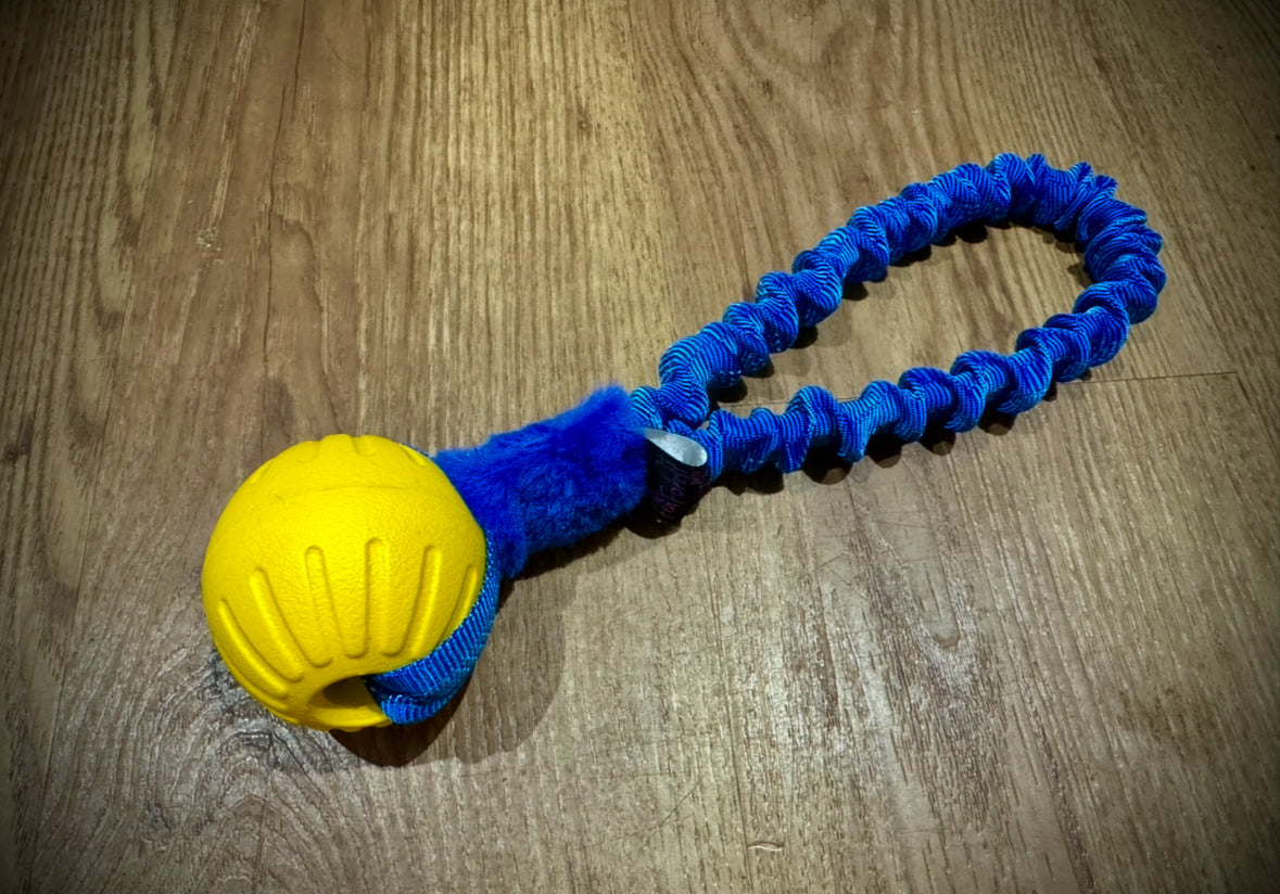 Eva Ball loop bungee