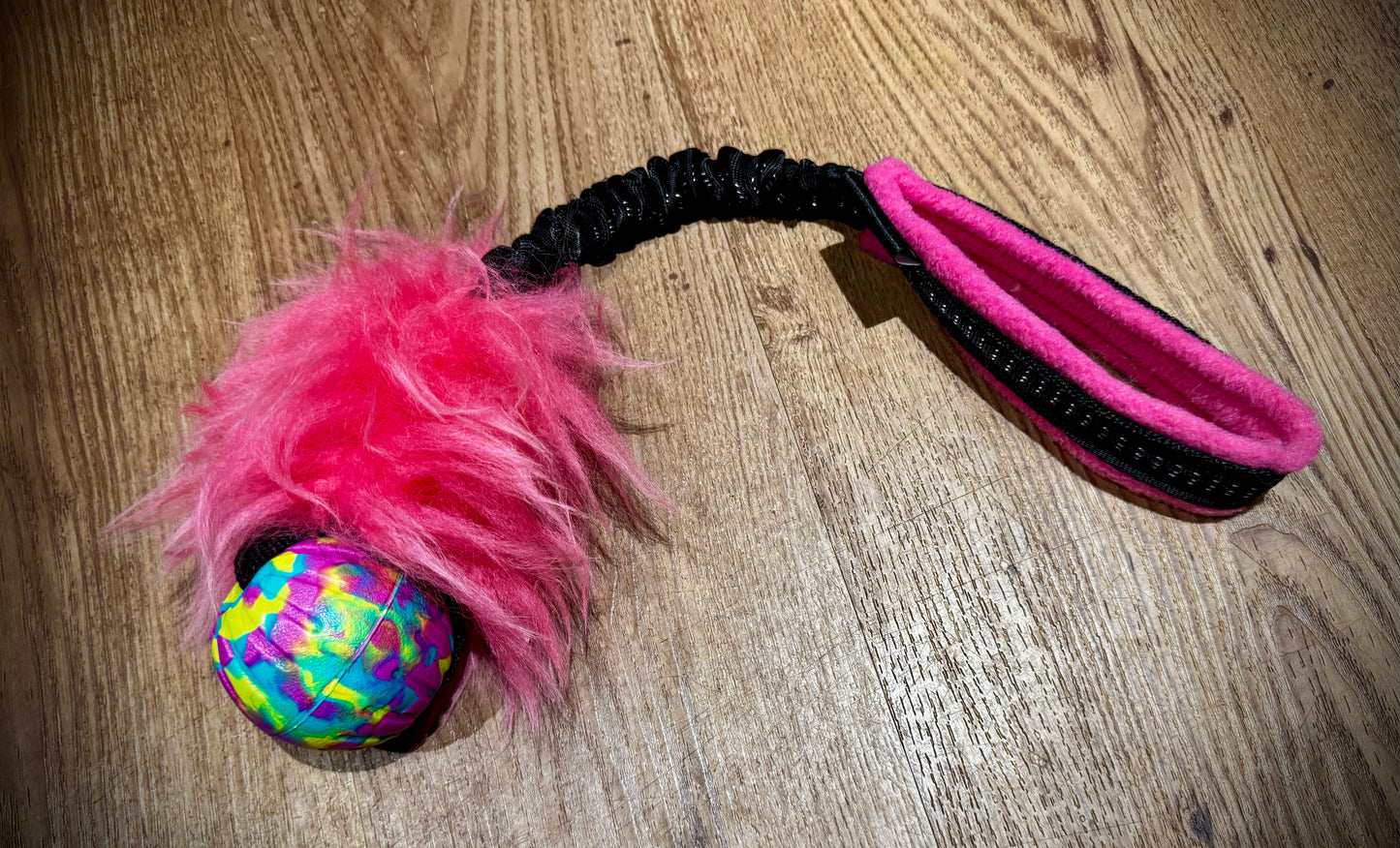 Eva Ball sheep bungee