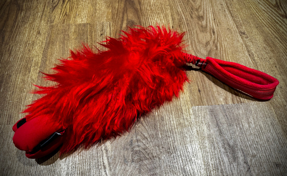 Sheepskin & Foodi medium bungee