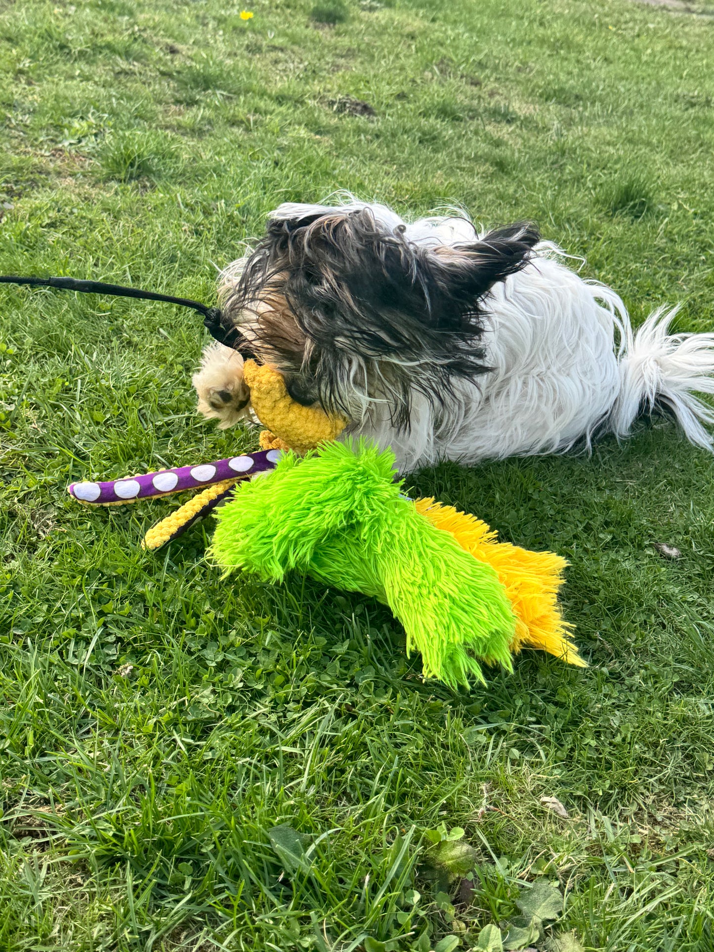 Octo-Flirt Pole: The Complete Set