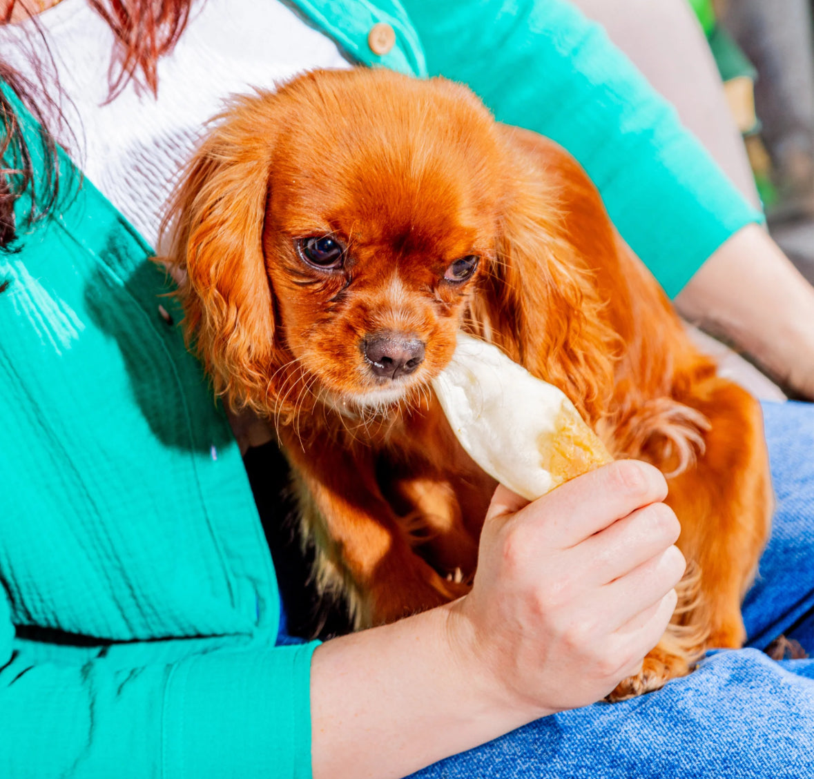 Nutriment Plain Goat Ears 5pcs