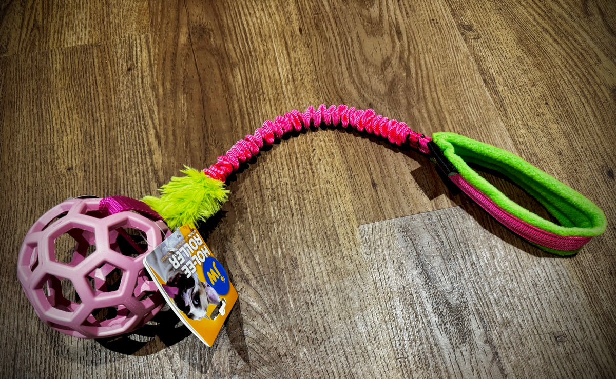 JW hol-ee Bungee