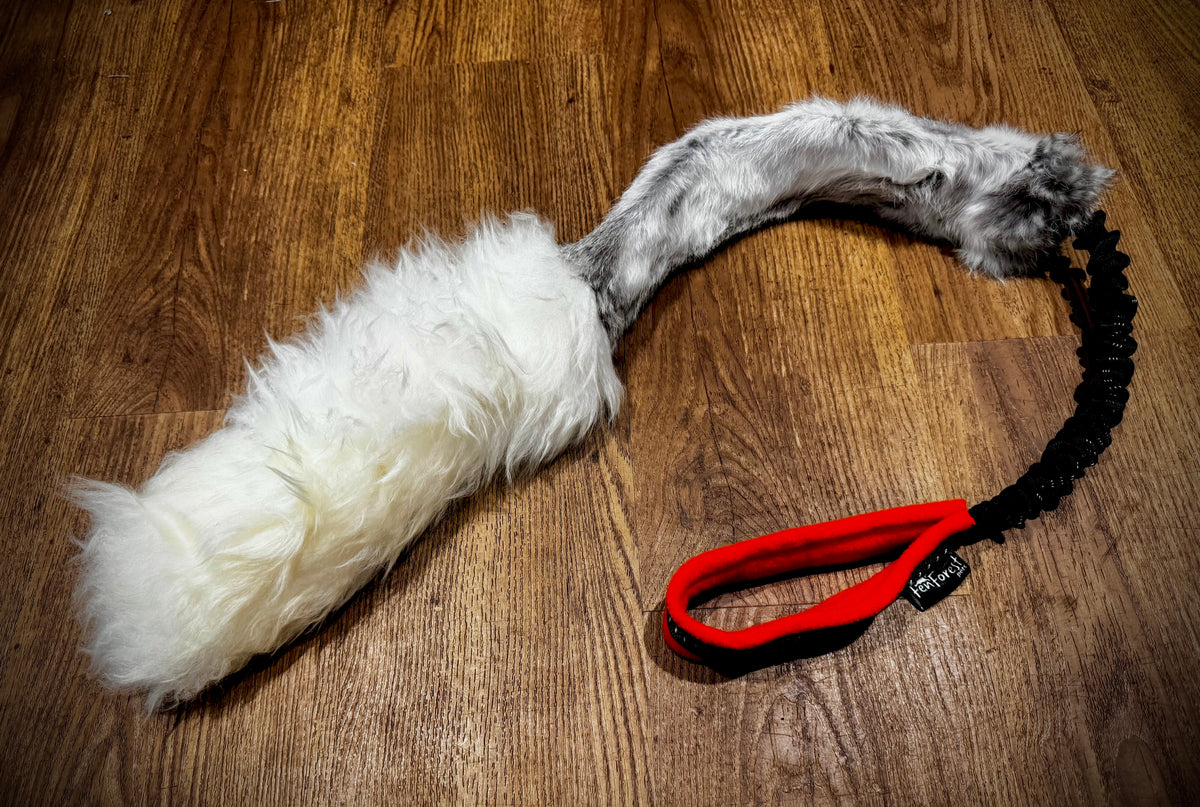Rabbit Paddle sheep Tail Chaser