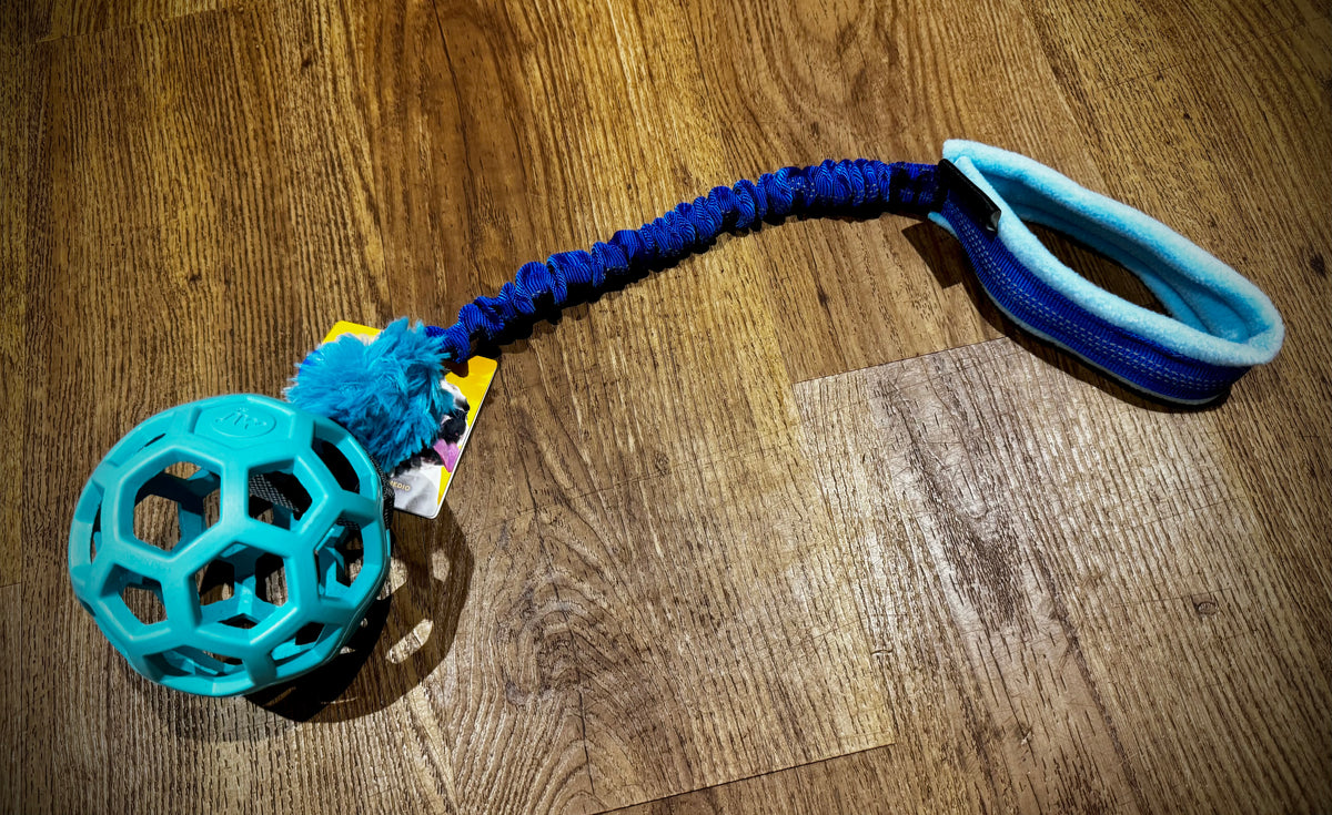 JW hol-ee Bungee