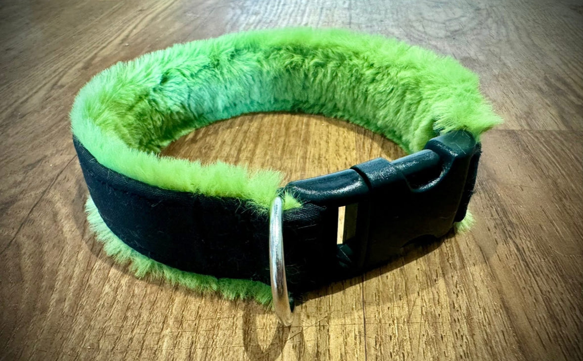 Custom Collar & Lead Set