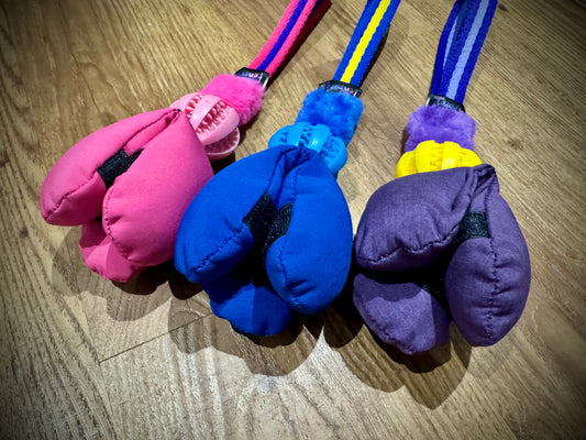 Airweb Foodi’s with treat ball weight