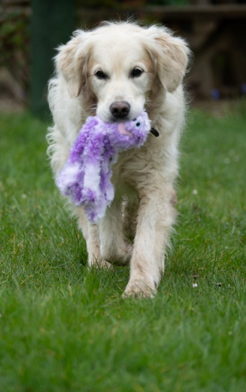ORLA OCTOPUS PLUSH DOG TOY SMALL