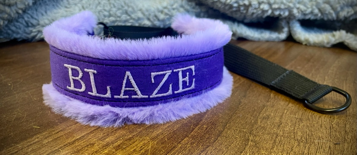 Custom Collar & Lead Set