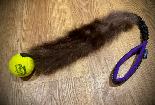 Raccoon paddle & tennis ball (purple handle)